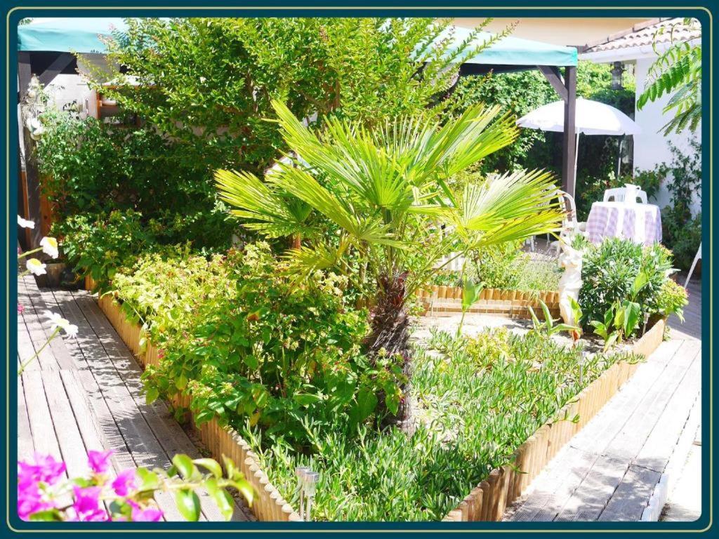 Apartamento Les Embruns Mimizan-Plage Exterior foto